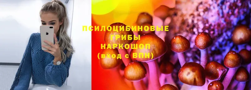 наркошоп  Черкесск  mega ССЫЛКА  Галлюциногенные грибы MAGIC MUSHROOMS 