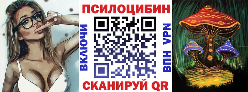 Псилоцибиновые грибы Psilocybine cubensis  Черкесск 