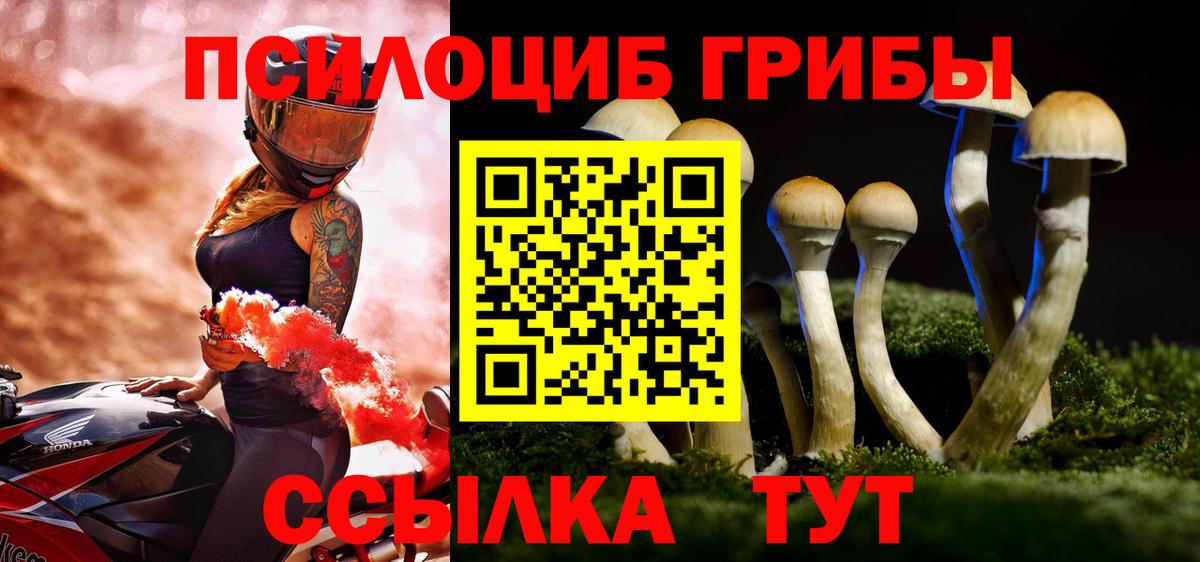 Черкесск  Галлюциногенные грибы Magic Shrooms  Псилоцибиновые грибы Cubensis  Вход с VPN 